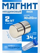 Неодимовые магниты 30х20 мм, диски, MaxPull, набор 2 шт. в тубе D-30-20-MPL