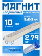 Неодимовые магниты 8х8х8 мм, прямоугольники, MaxPull, набор 10 шт. в тубе P-8-8-8-MPL