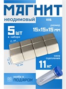 Комплект: Неодимовые магниты 15х15х15 мм, прямоугольники, MaxPull, набор 5 шт. в тубе P-15-15-15-MPL